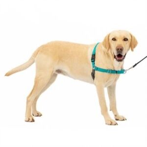 PetSafe Easy Walk Dog Harness Teal Gray Medium